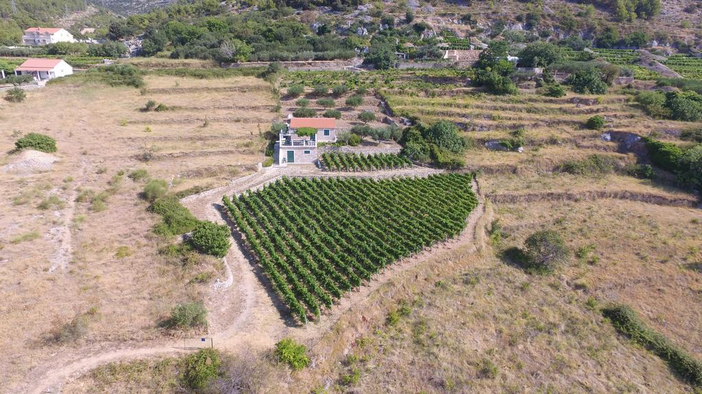 Holiday Home Vineyard House Bol Exterior foto